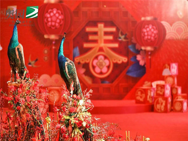 如何搞定高端的年会活动？以下这六点可以帮你！