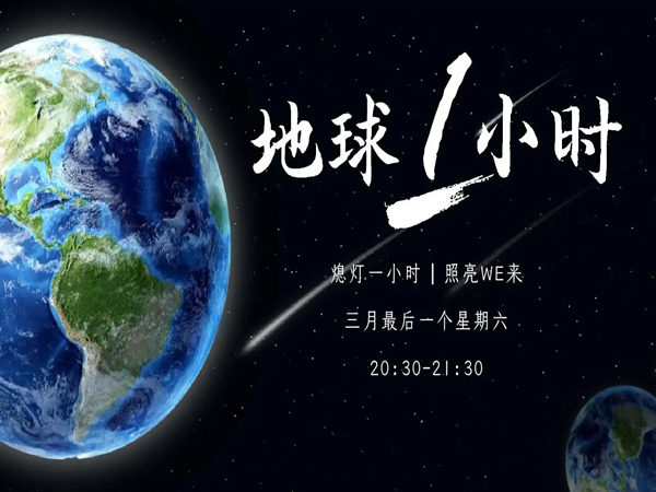 酒店的 24 地球一小时创意集锦